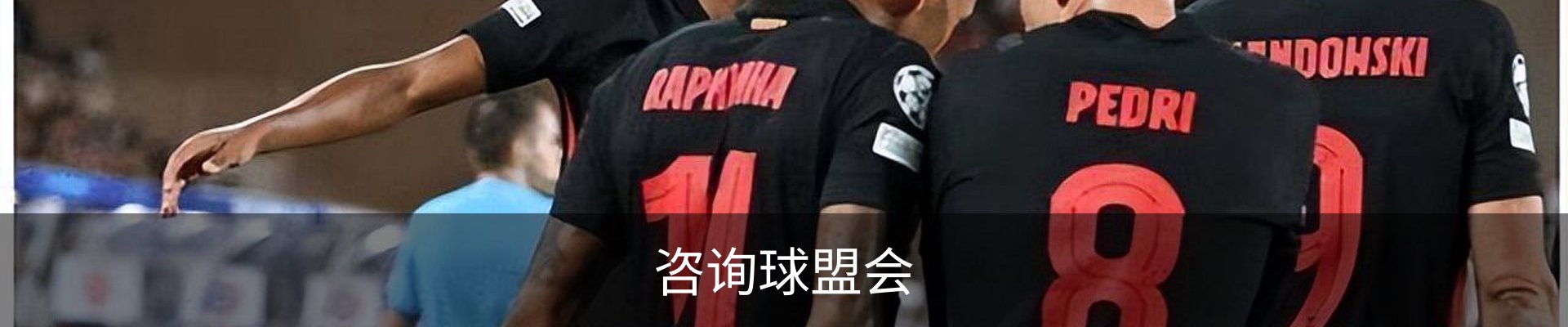 咨询球盟会
